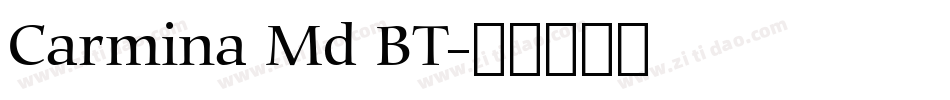 Carmina Md BT字体转换